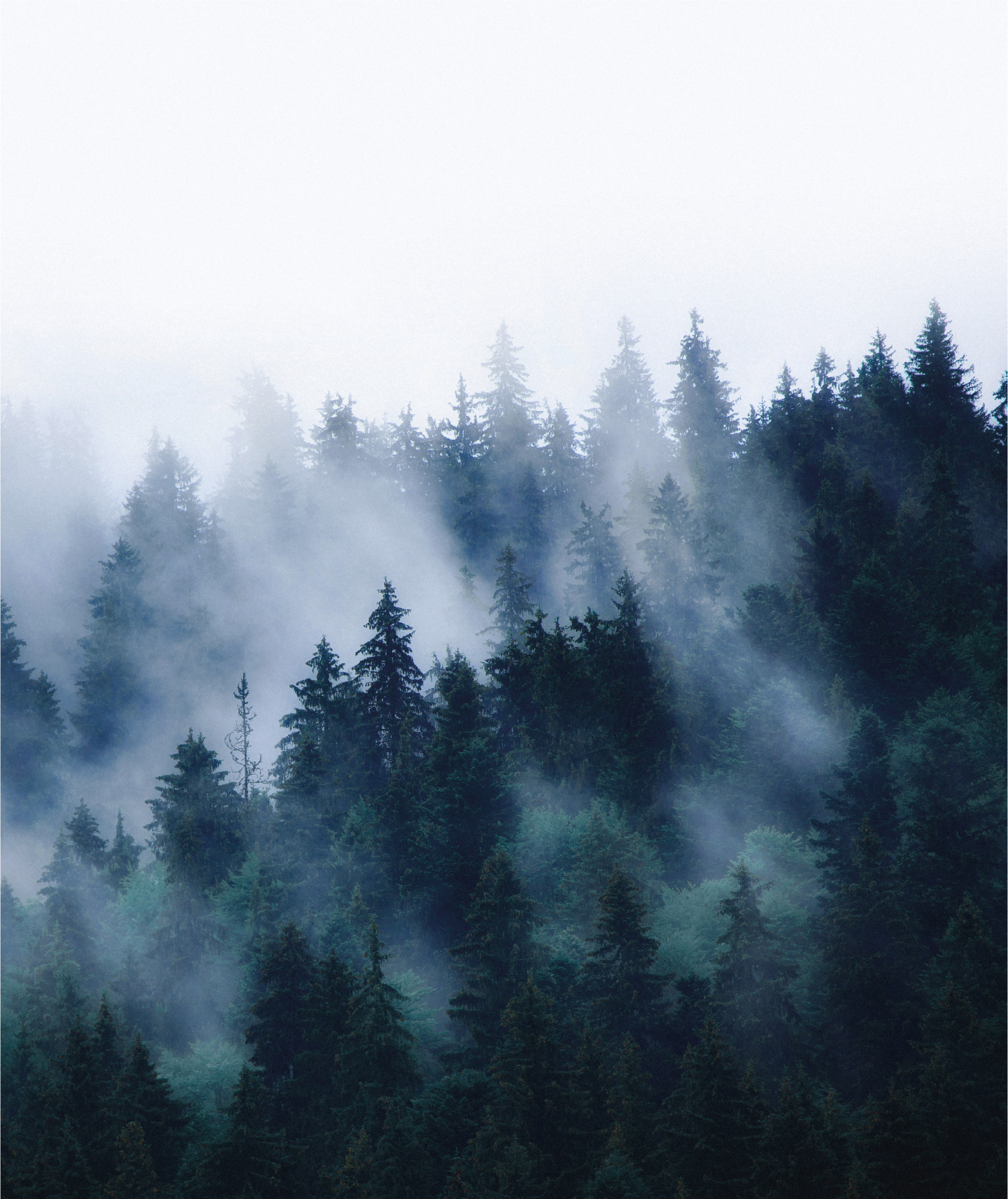 Two women sitting at a modern table talking with a city view behind them.